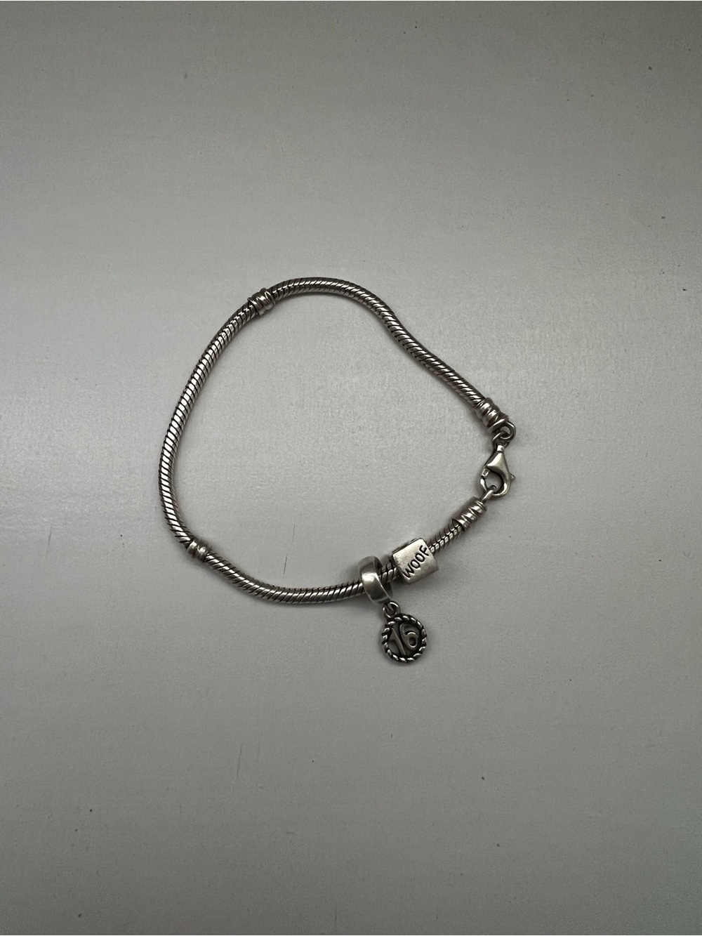Pandora bracelet with charms